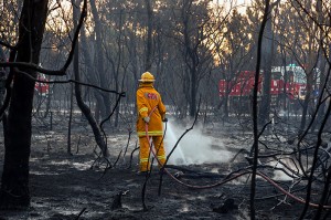 Crib Point Fire 2 057 